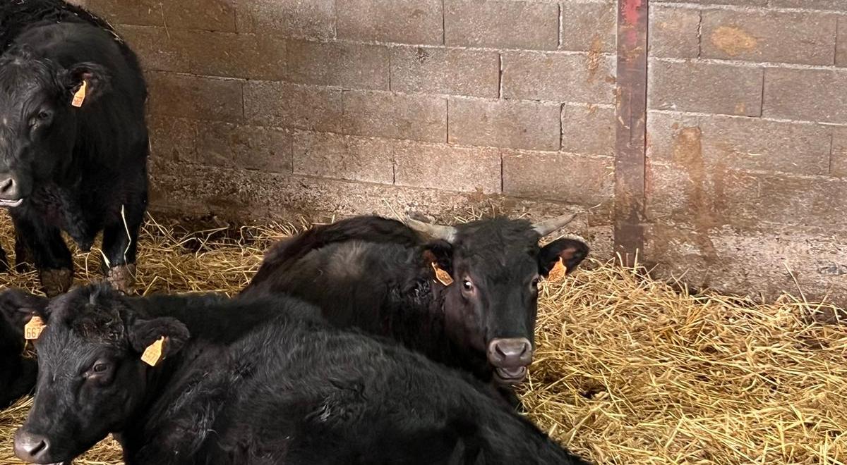 Visite gratuite de la Ferme des Pélissones_Seyne