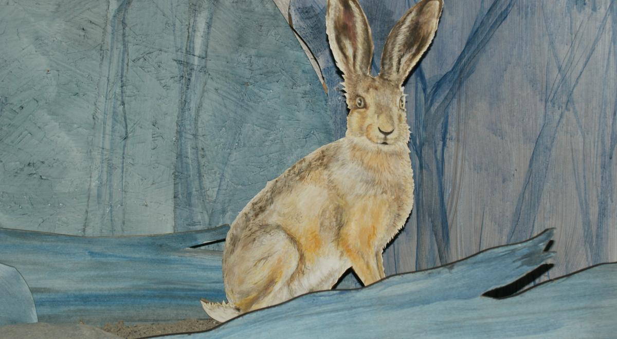 Exposition "Les animaux, la nuit" - Lièvre Exposition "Les animaux, la nuit" - Lièvre