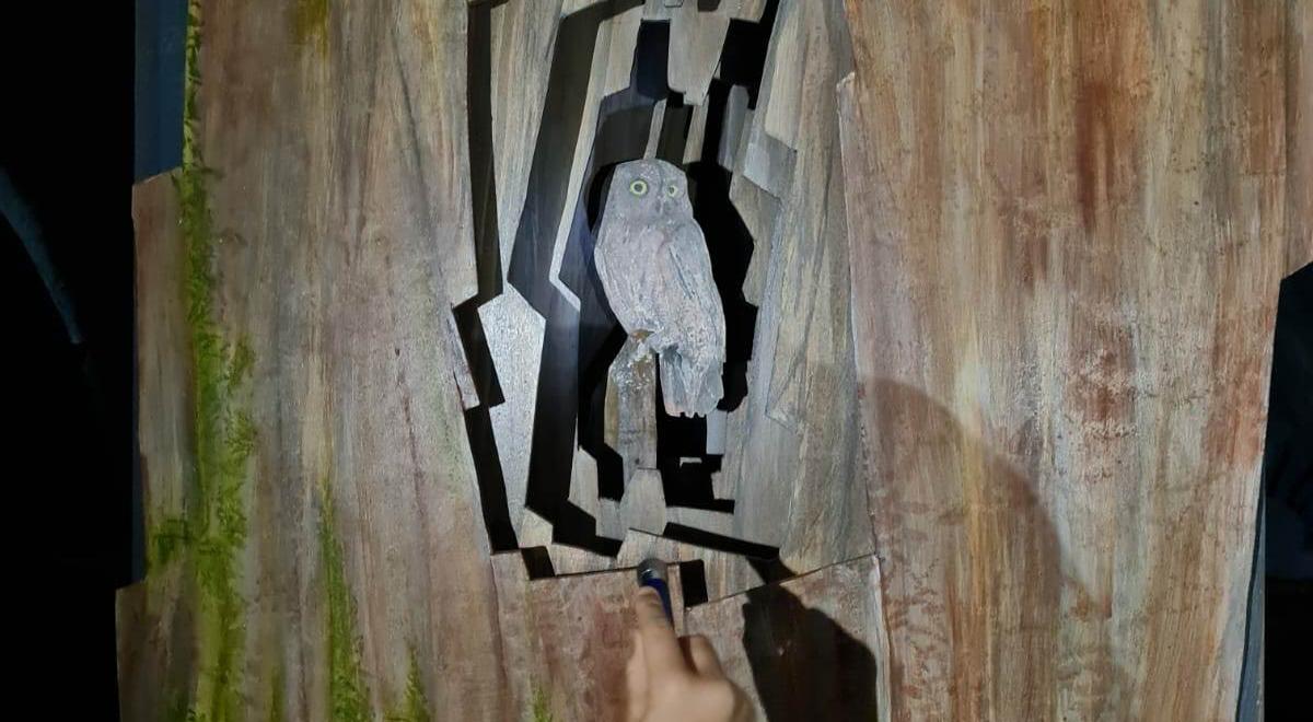 Exposition "Les animaux, la nuit" - Exposition "Les animaux, la nuit" Exposition "Les animaux, la nuit" - Exposition "Les animaux, la nuit"