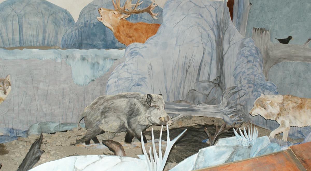 Exposition "Les animaux, la nuit" - Exposition "Les animaux, la nuit" Exposition "Les animaux, la nuit" - Exposition "Les animaux, la nuit"