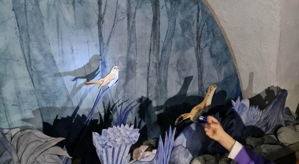 Exposition "Les animaux, la nuit" - Exposition "Les animaux, la nuit" Exposition "Les animaux, la nuit" - Exposition "Les animaux, la nuit"