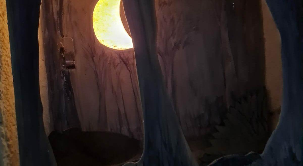 Exposition "Les animaux, la nuit" - Exposition "Les animaux, la nuit" Exposition "Les animaux, la nuit" - Exposition "Les animaux, la nuit"