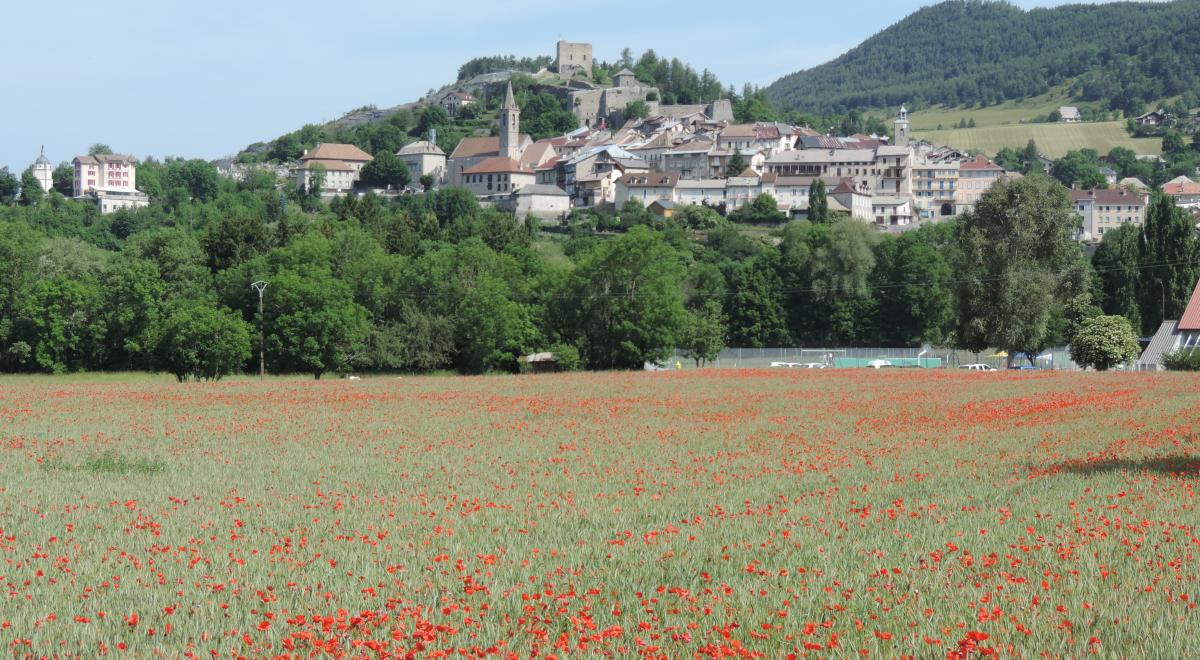 Journées du Patrimoine de Pays &amp; des Moulins - Village de Seyne les Alpes