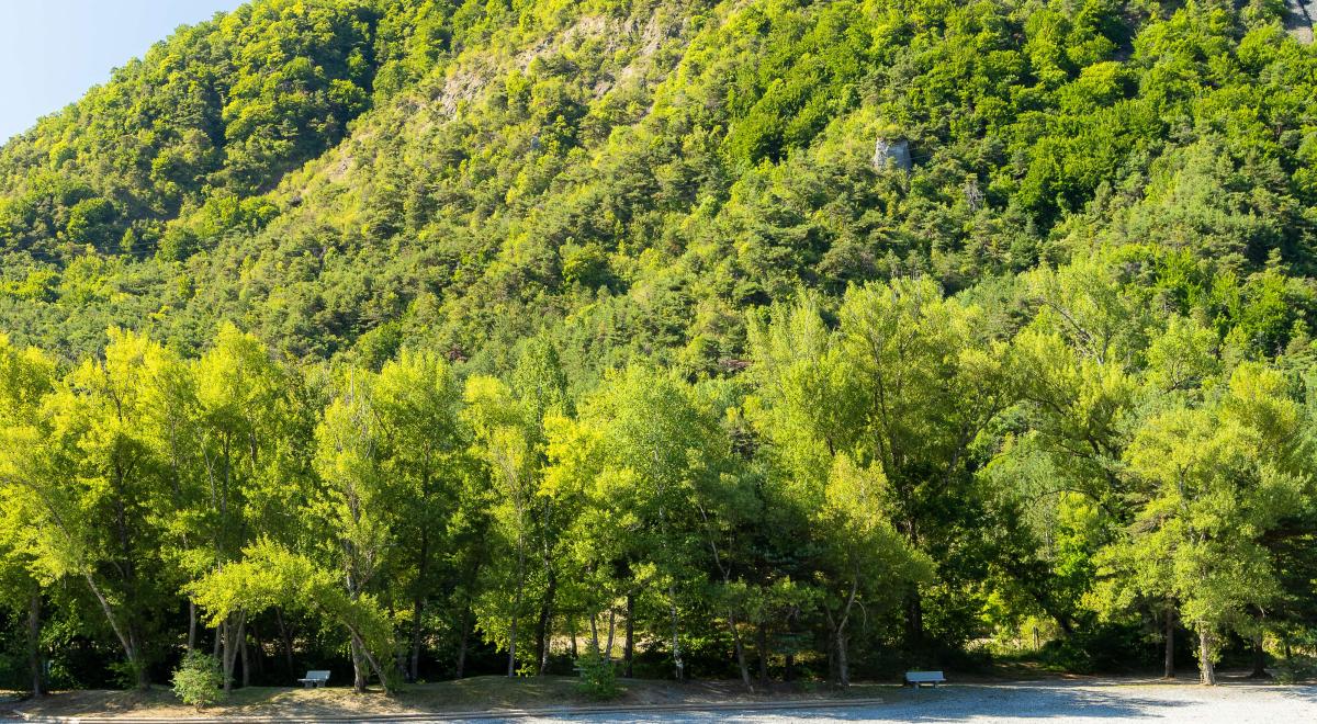 Fête des 3 Lacs_Rochebrune