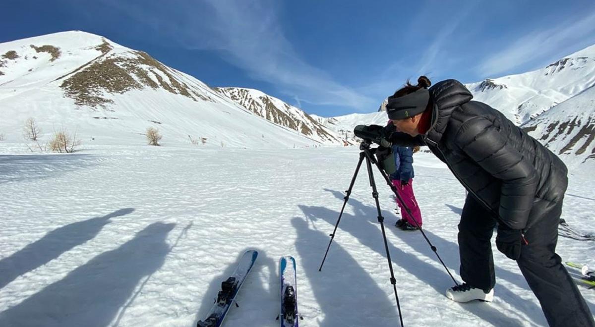 Open Ski Run spécial Tétras Lyre_La Foux d’Allos - Open Ski Run spécial Tétras Lyre