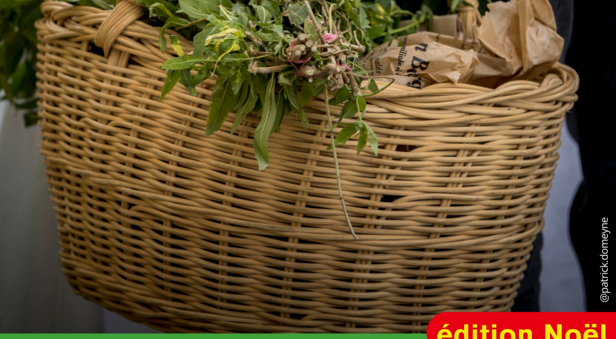 Marché des Producteurs de Pays_Les Orres - Marché des Producteurs de Pays_Les Orres