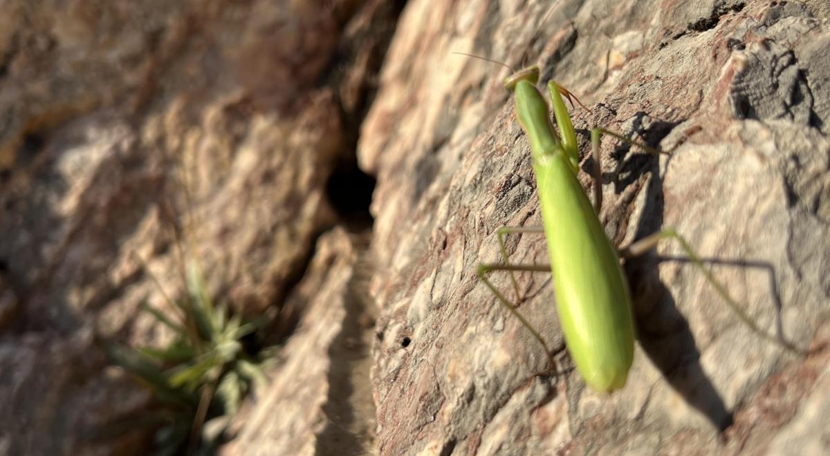 Rando curieuse : Carrières et canaux de Guillestre_Guillestre