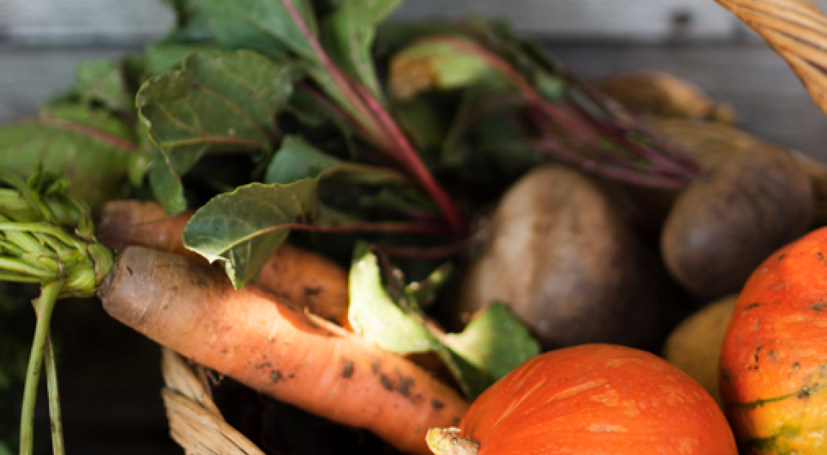 Tournée des neiges : découvrir les filières laitières, viandes, fruits &amp; légumes_Les Orres