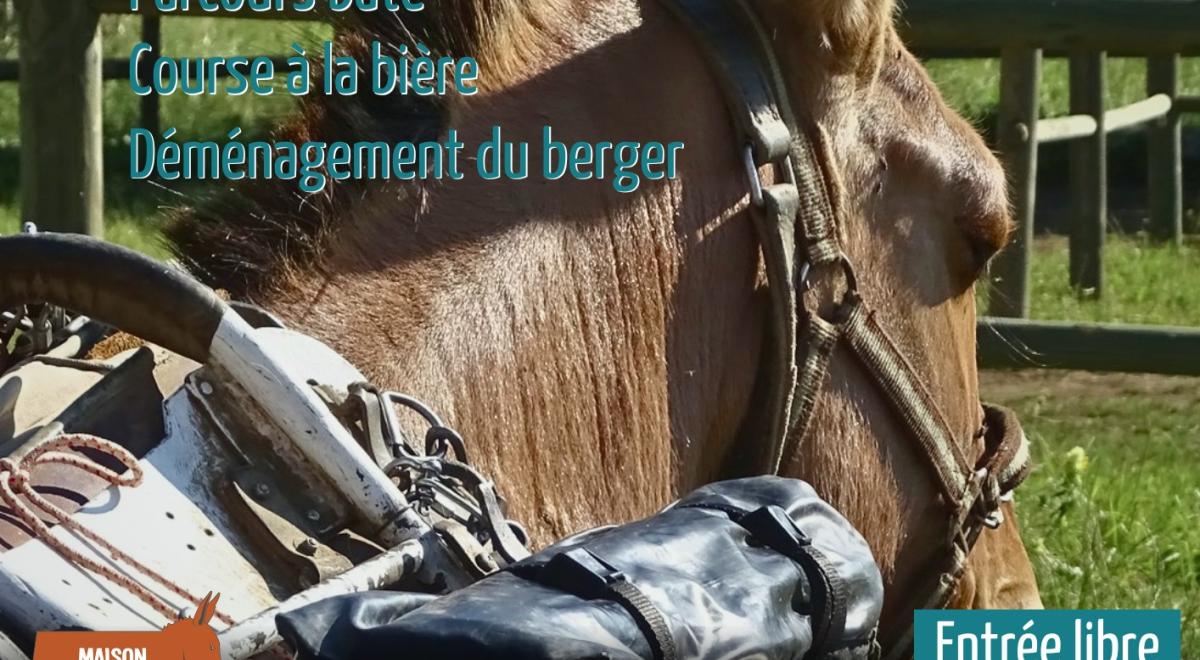 Mules en Seyne, Concours de bâtage et Jeux muletiers_Seyne - affiche