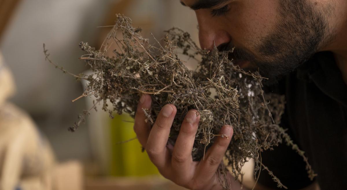 Visite de la liquoristerie La Vinciane - Visite de la liquoristerie La Vinciane Visite de la liquoristerie La Vinciane - Visite de la liquoristerie La Vinciane