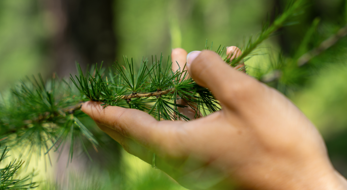 Pure Flow - Festival Sport &amp; Bien-Être en Montagne_Les Orres - Pure Flow - Festival Sport &amp; Bien-Être en Montagne_Les Orres