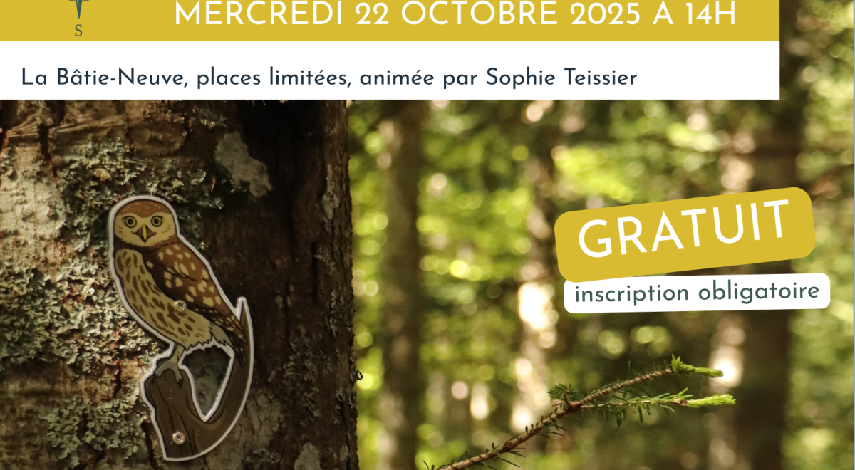 Rendez-vous en terres connues : Escape Game en forêt du Sapet !_La Bâtie-Neuve Rendez-vous en terres connues : Escape Game en forêt du Sapet !_La Bâtie-Neuve