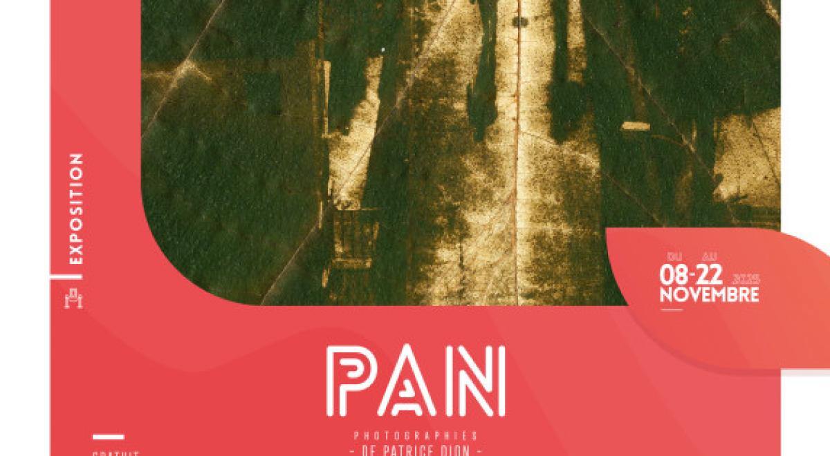 Exposition &quot;Pan&quot; par Patrice Dion CHORGES - Exposition &quot;Pan&quot; par Patrice Dion CHORGES