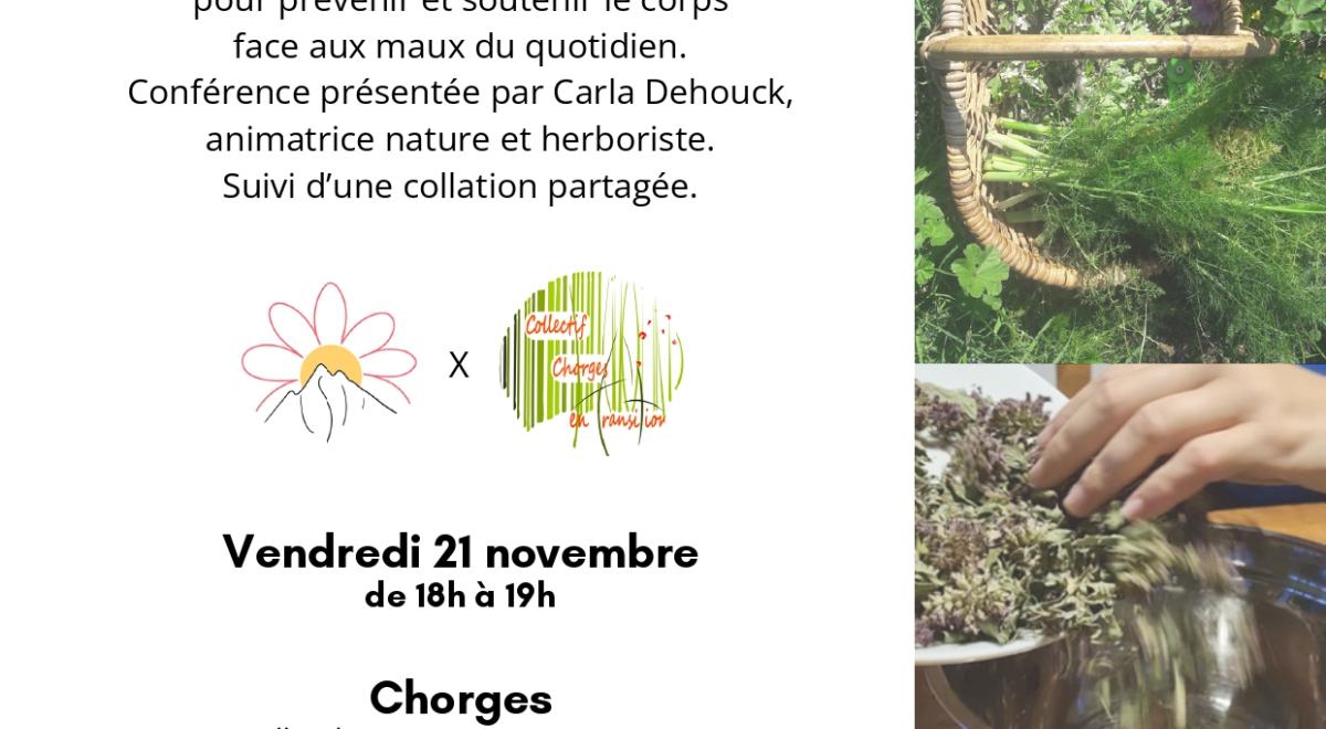 Conférence &quot;Les plantes médicinales d'hiver&quot; CHORGES - Conférence &quot;Les plantes médicinales d'hiver&quot; CHORGES