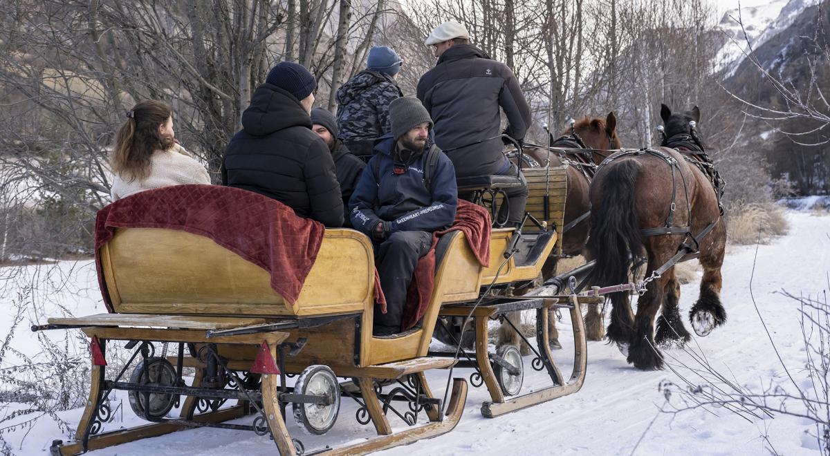 Balade en calèche et rencontre avec les chevaux - Le Sauze - Balade en traîneau tiré par des chevaux