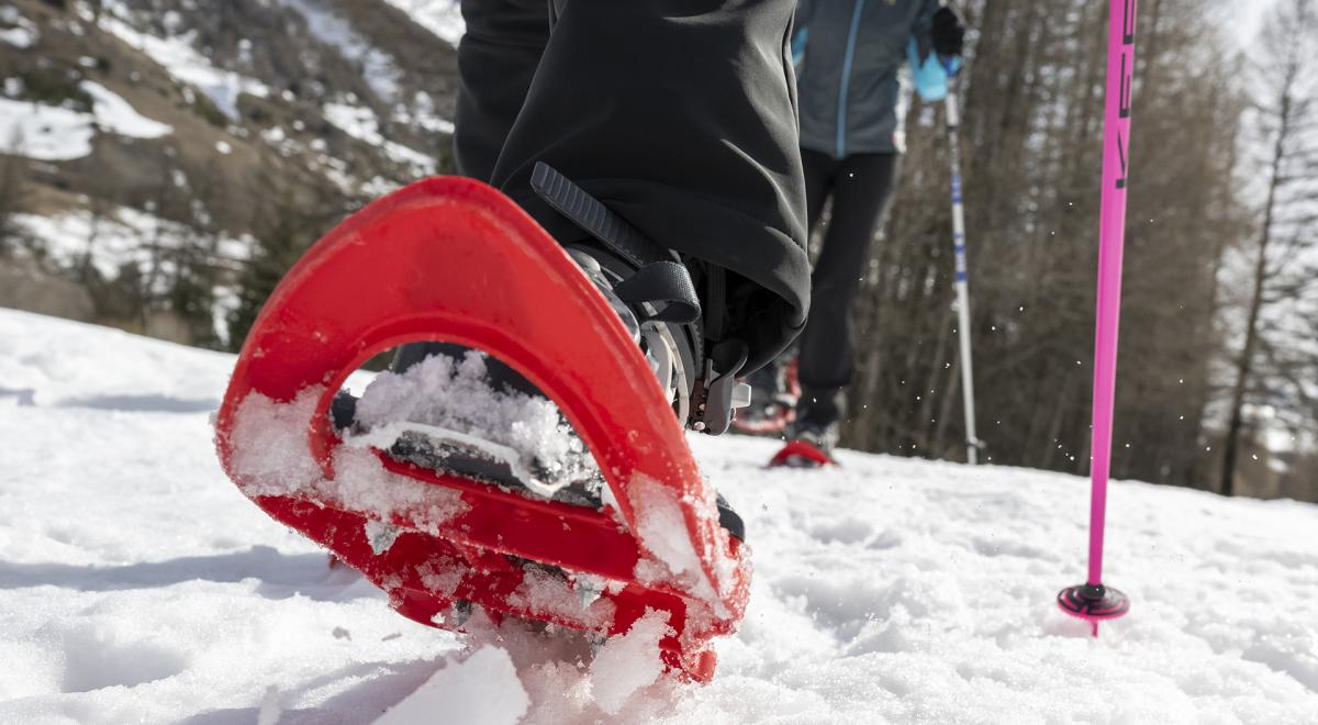 Découverte des raquettes - Le Sauze - Balade en raquettes à neige