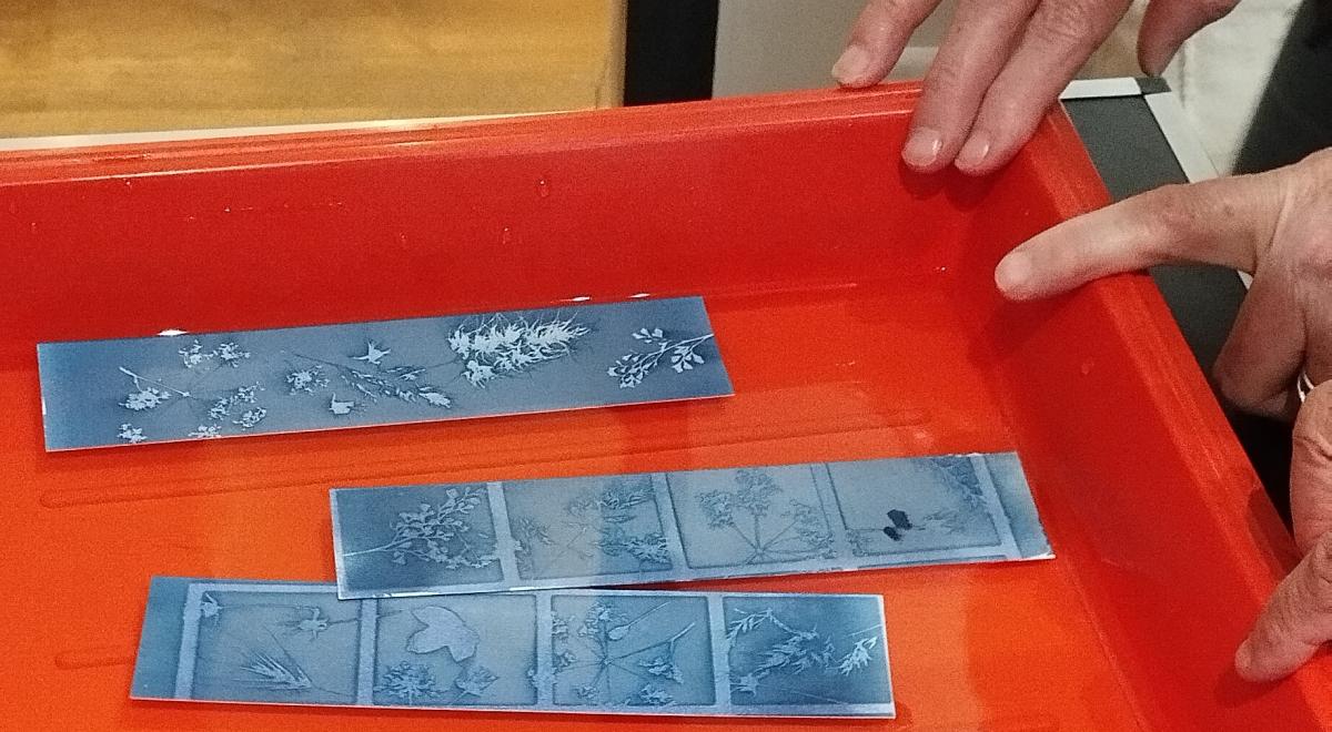 Atelier cyanotype - Atelier cyanotype