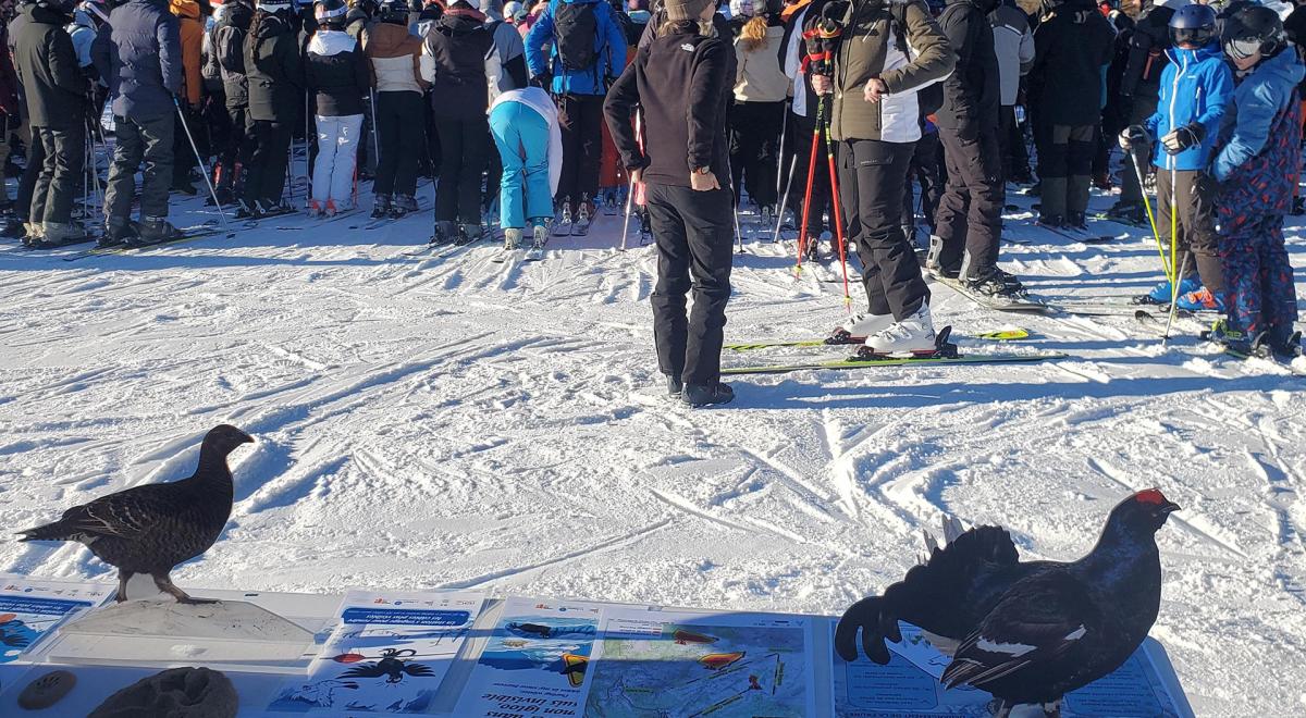 Sensibilisation à la faune sauvage et au risque avalanche - Sainte-Anne - Sensibilisation à la faune sauvage et au risque avalanche