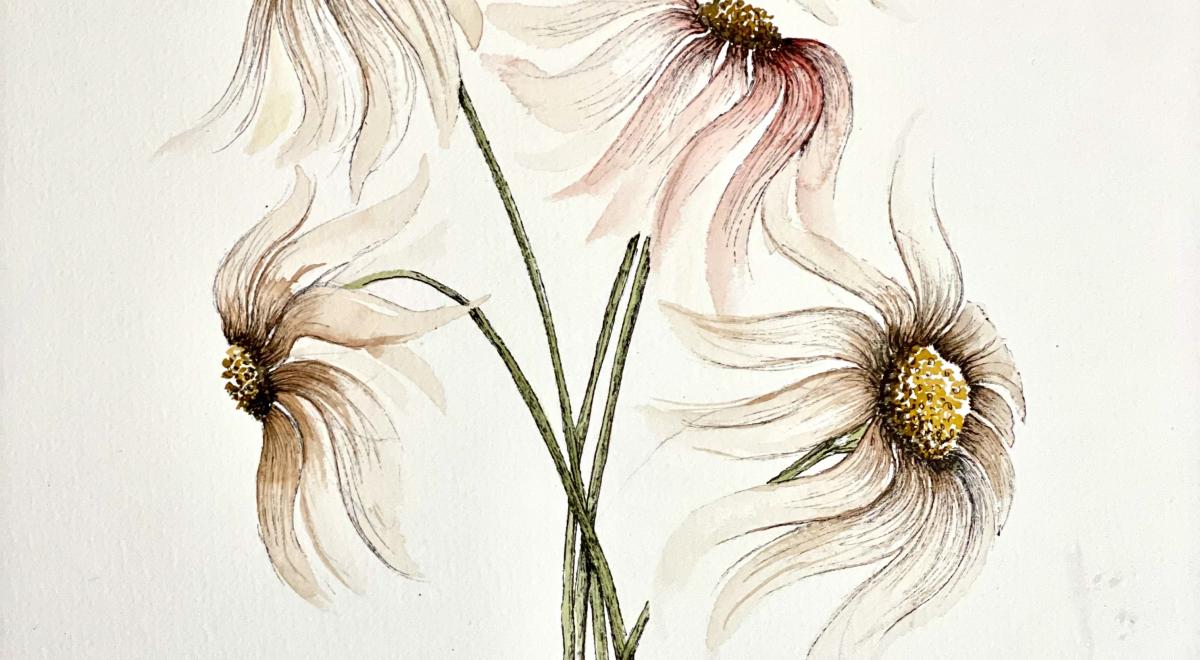 Atelier aquarelle EMBRUN - Atelier aquarelle EMBRUN