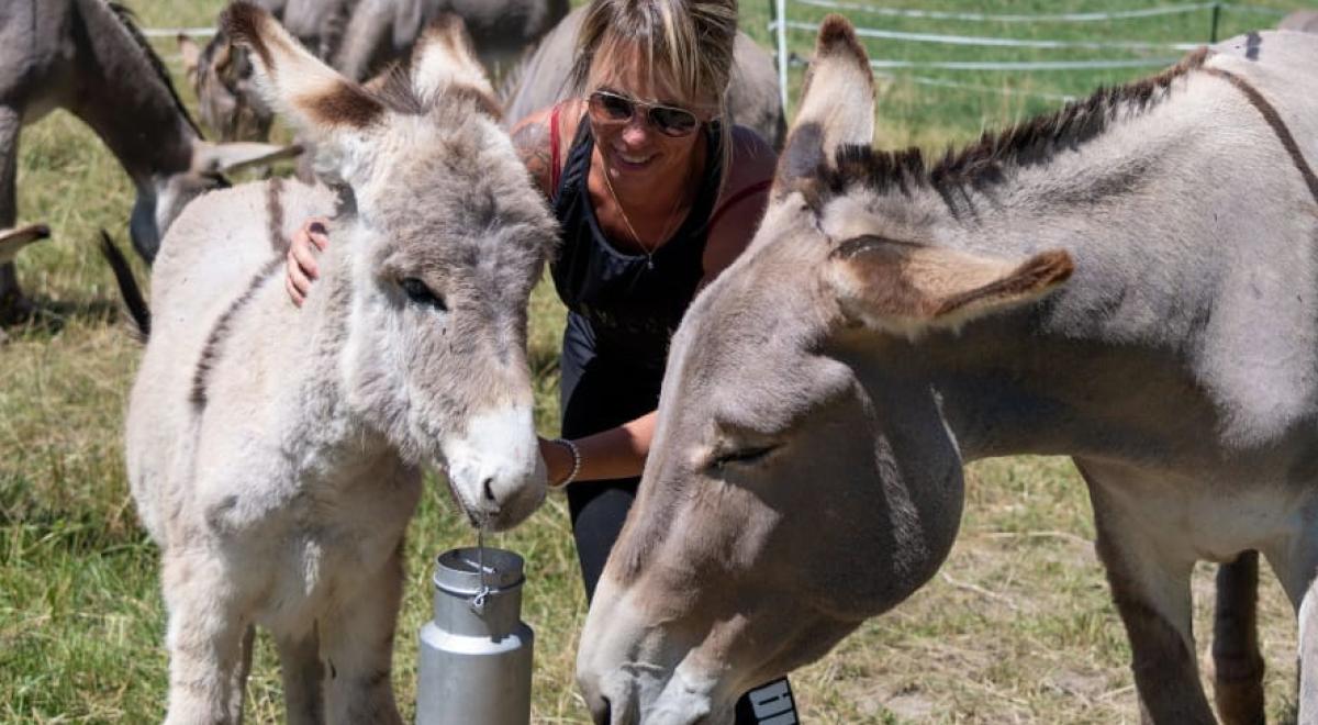 Journées du patrimoine de Pays : tour et détour