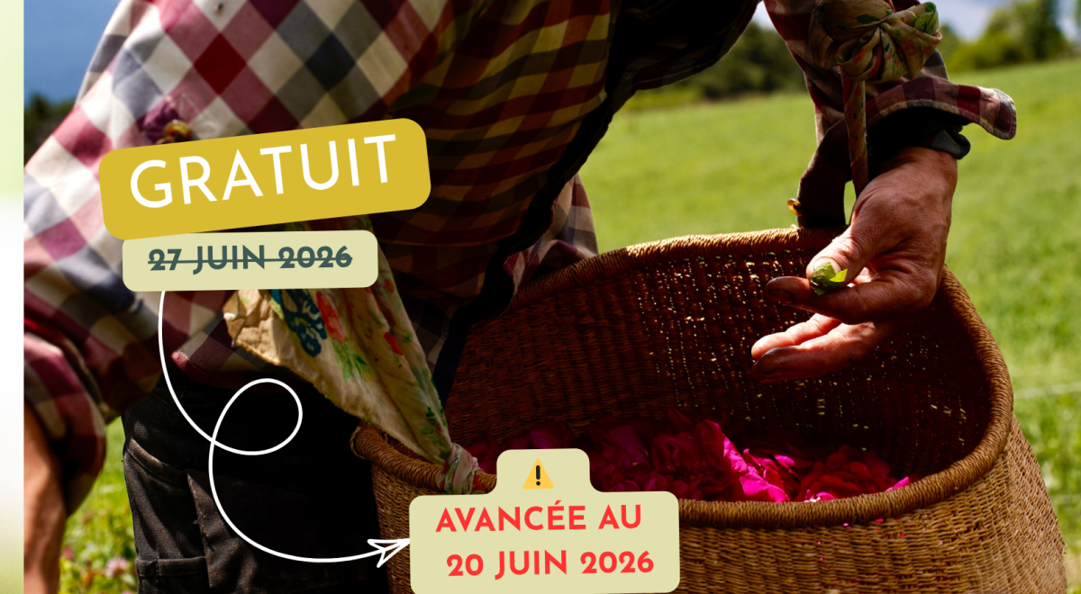 Rendez-vous en terres connues : Cueillette et distillation de roses._Théus
