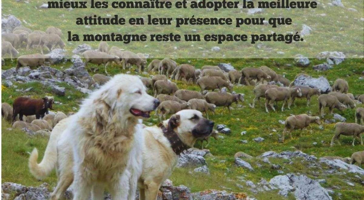 conférence paroles de patous EMB - conférence paroles de patous EMB