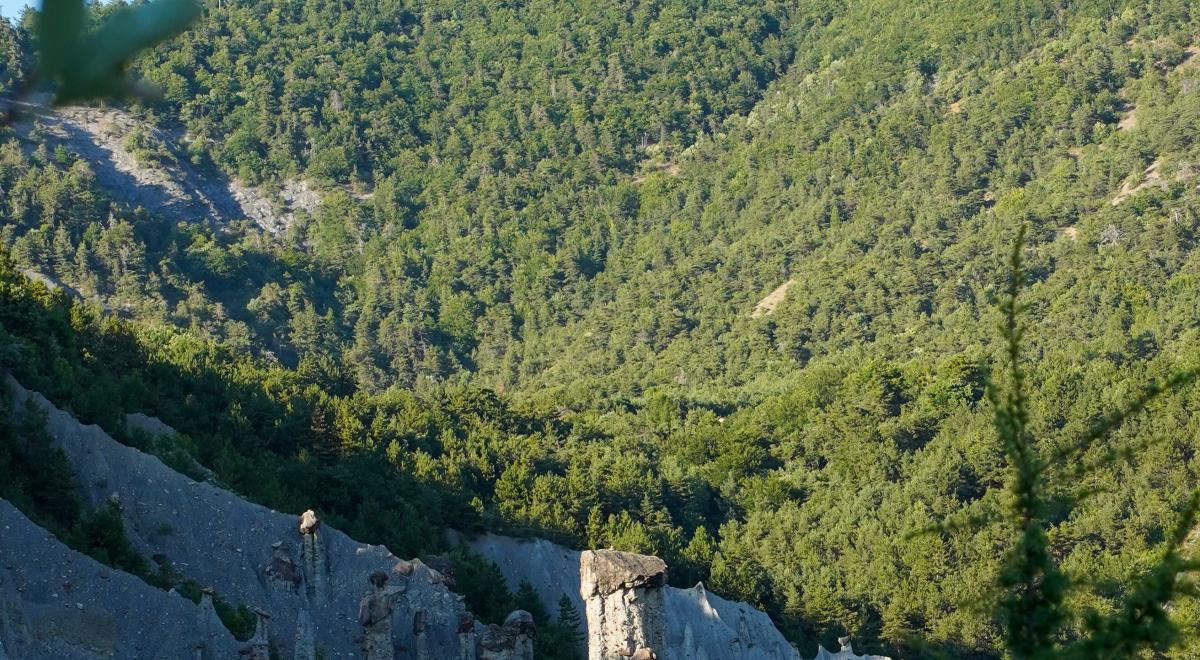 Rendez-vous de l'été : Contes et légendes des demoiselles coiffées._Théus