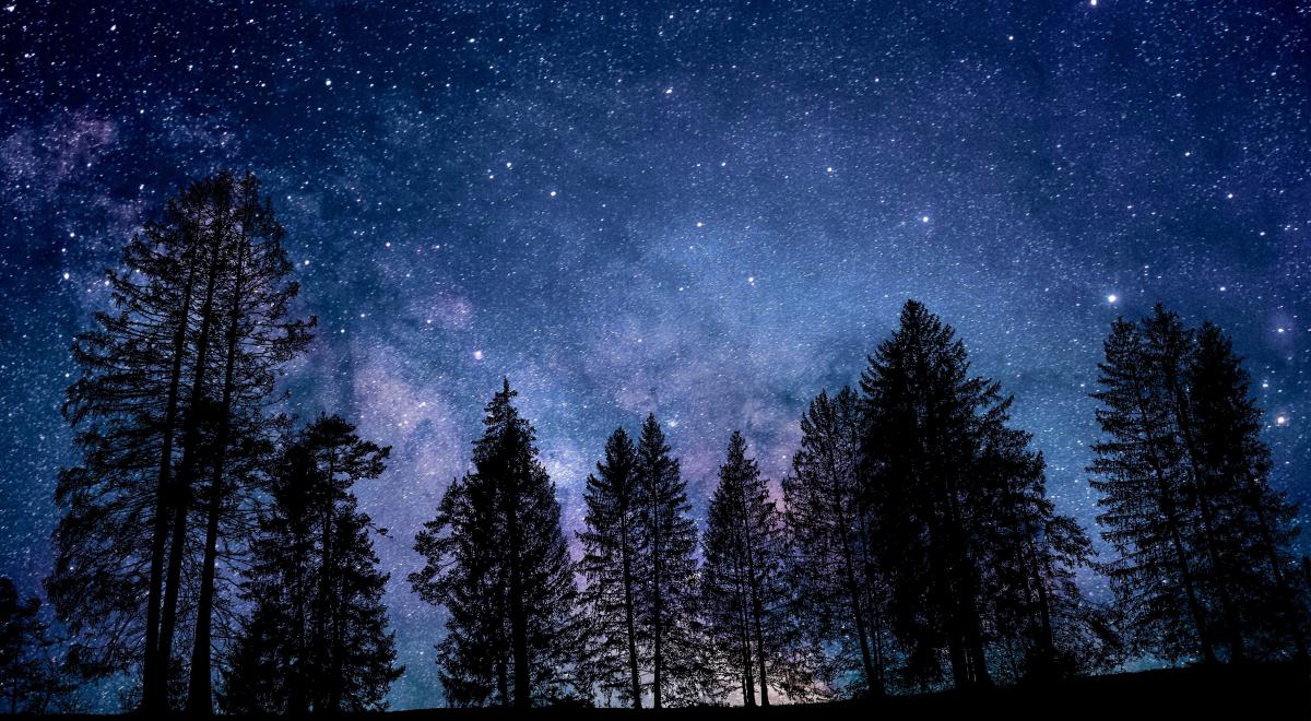 Rendez-vous de l'été : Une nuit dans la nature - Les chauves-souris_Bréziers