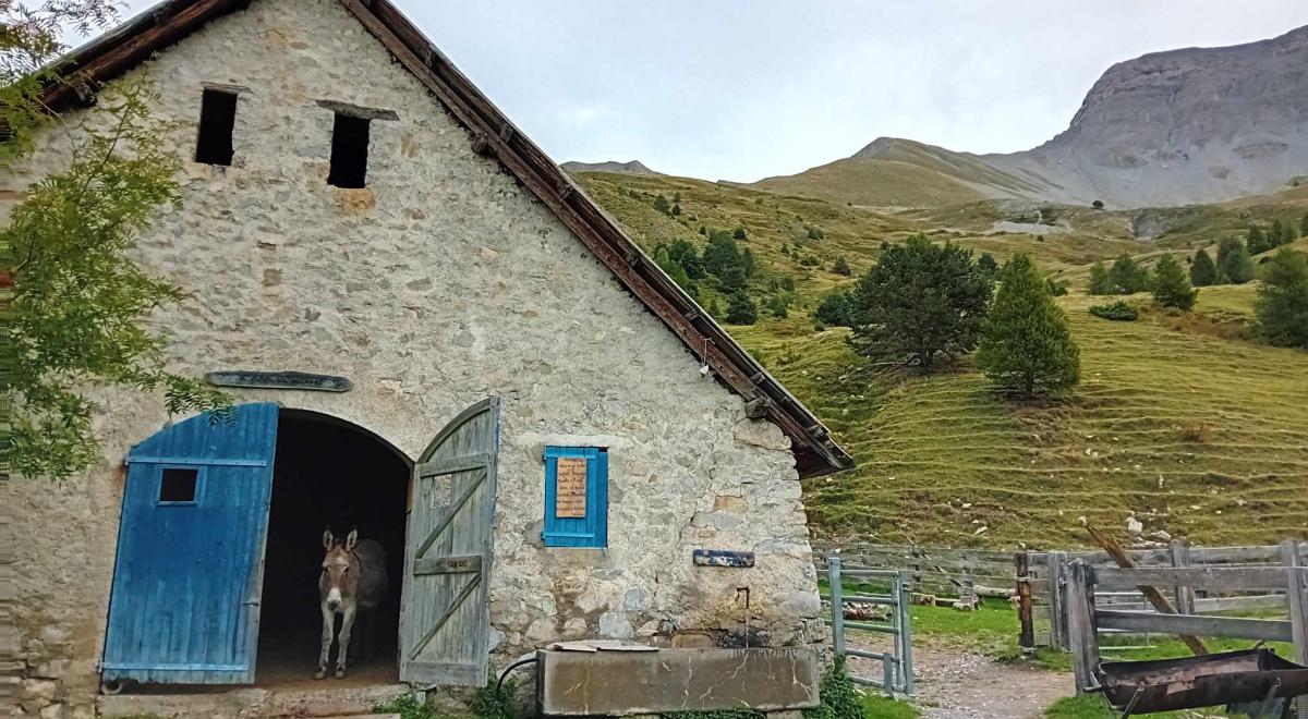 Concert à la cabane des Mulets_Seyne - cabane des Mulet