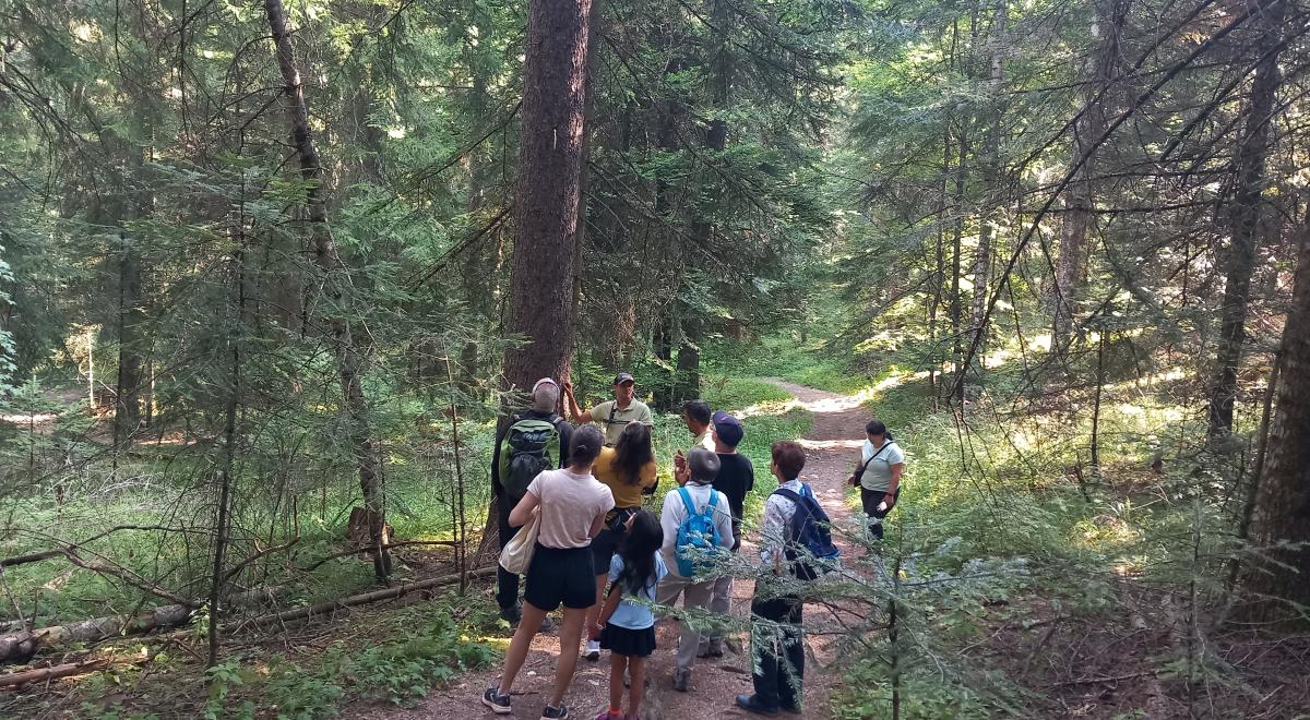 Découvrez la forêt de Boscodon et devenez technicien forestier le temps d'une matinée - Découvrez la forêt de Boscodon et devenez technicien forestier le temps d'une matinée