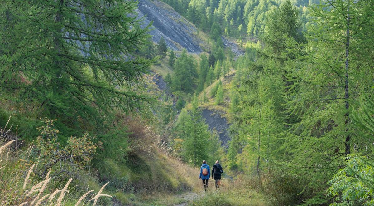 Les Dimanches du Sauze : Sortie avec accompagnateur en montagne - Le Sauze d’hier à aujourd’hui