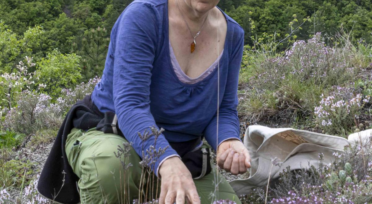 Balade découverte les plantes médicinales à Seyne - Christine Bonnat
