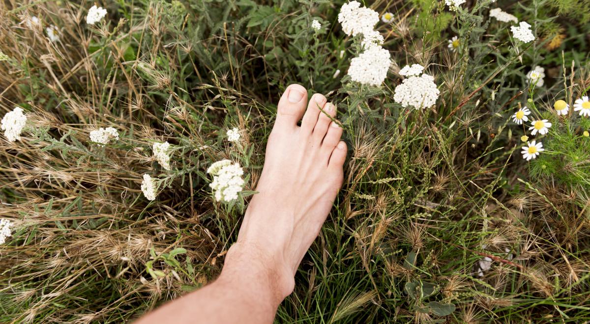 Balades nature &amp; bien-être : "Pieds nus !"_Les Orres - Balades nature &amp; bien-être : "Pieds nus !"_Les Orres