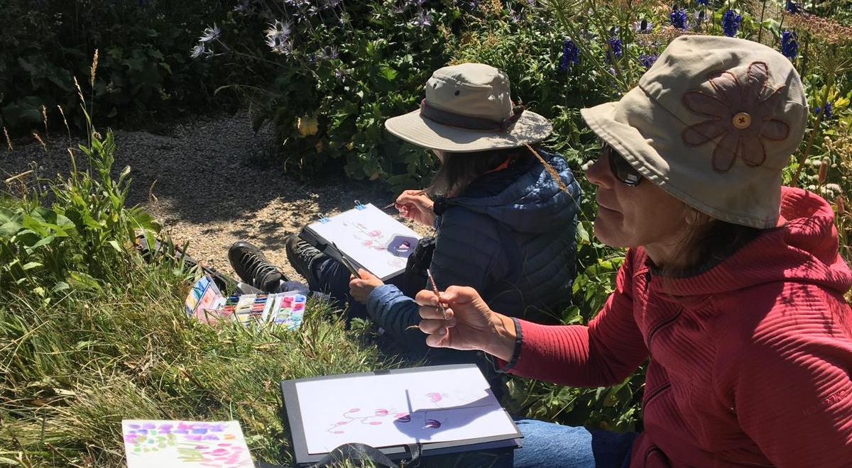 Atelier d’aquarelle naturaliste en extérieur_Les Orres - Atelier d’aquarelle naturaliste en extérieur_Les Orres