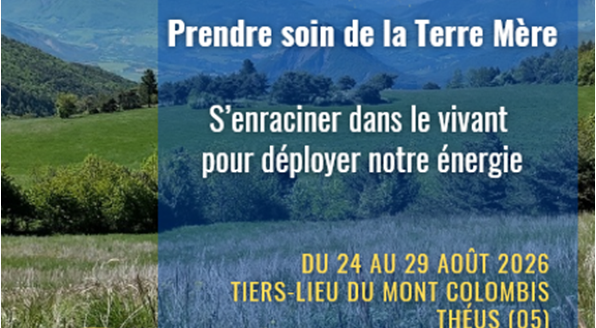affiche de stage