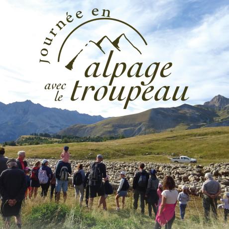 Journée en alpage à la cabane des mulets - Affiche
