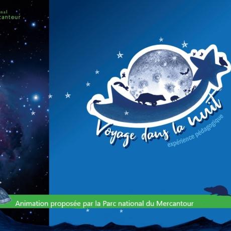 Animaux nocturnes - Animaux nocturnes