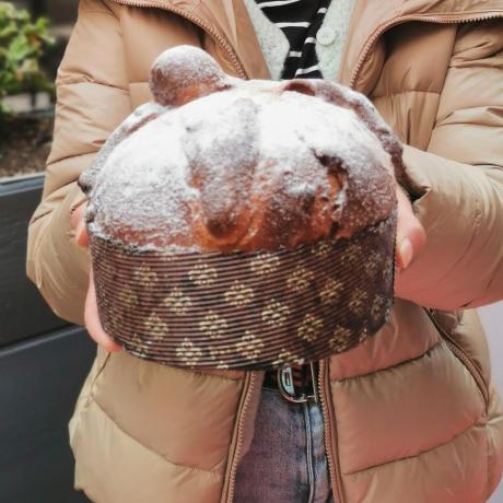 Vente de Pan de Muerto - Pan de Muerto Vente de Pan de Muerto - Pan de Muerto