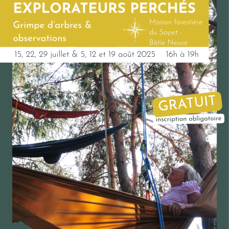 Explorateur perchés : grimpe d'arbres et observation_La Bâtie-Neuve