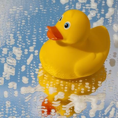 Pêche aux canards - Pêche aux canards