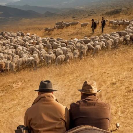 Dans les pas de Pete | Un Haut-Alpin au Far West - Dans les pas de Pete | Un Haut-Alpin au Far West