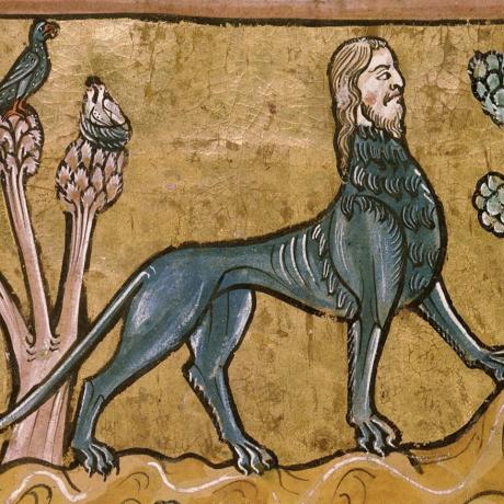 Conférence : Bestiaire imaginaire, chimères et légendes de la faune des montagnes_Barcelonnette - Manticore, Bestiaire du 13e siècle, Rochester