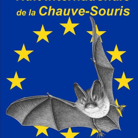 Nuit internationale de la Chauve-souris