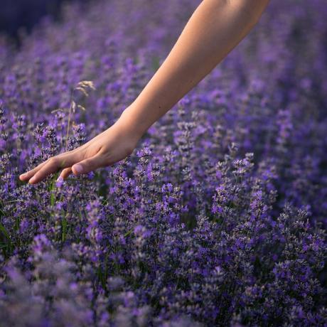 Pure Flow : Atelier d'herboristerie_Les Orres