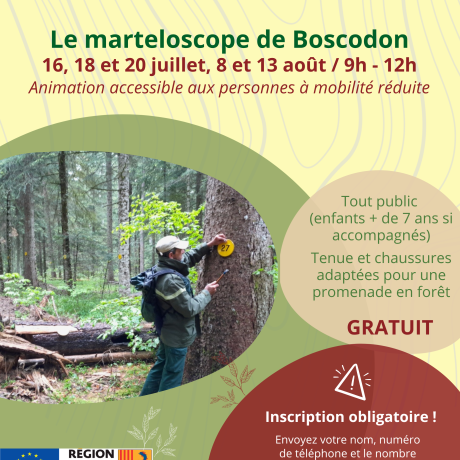 Graine de forestier, le marteloscope de Boscodon_Crots