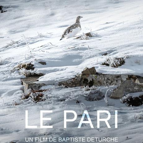 Le Pari