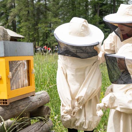 Familles en Orres : Visite accompagnée des ruches des Orres_Les Orres