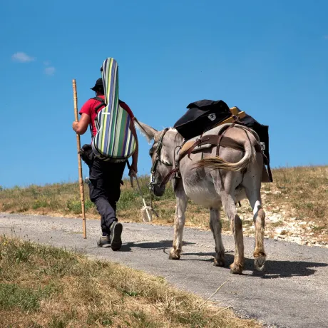 Conte musical Balad'un âne Cyprien N'tsai_Barles - Conte musical Balad'un âne Cyprien N'tsai_Barles