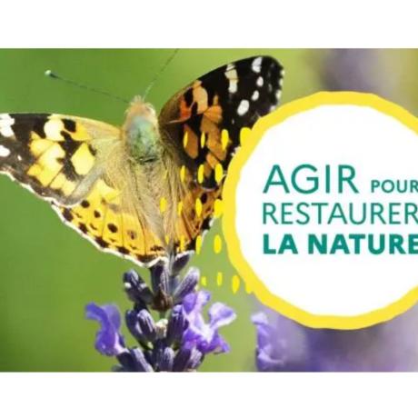 atelier restauration