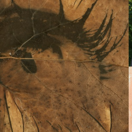 Novembre à la page "Création d'un livre photographique" CLA - Novembre à la page "Création d'un livre photographique" CLA